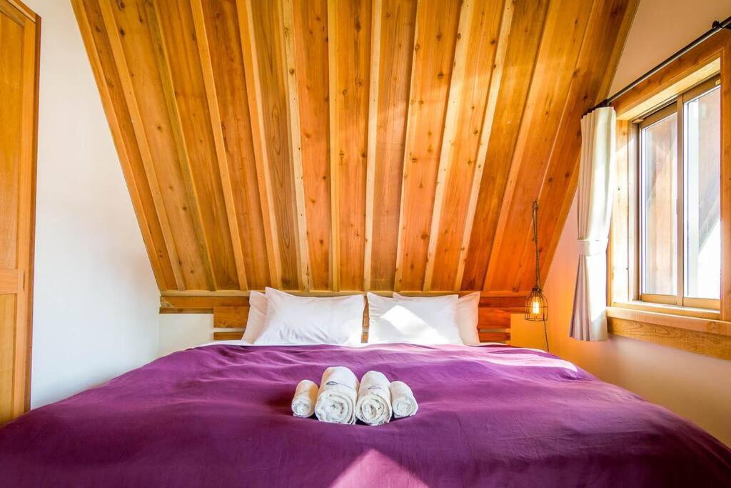 Misorano Chalet Хакуба Екстер'єр фото
